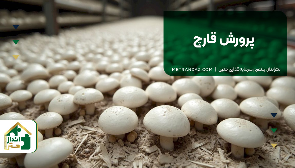۱۰. پرورش قارچ